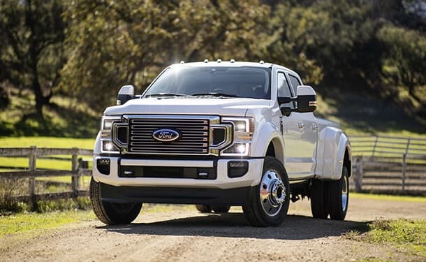 سياره-فورد-اشجار-شارع